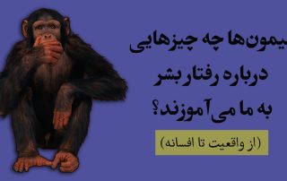 پنج میمون و نردبان