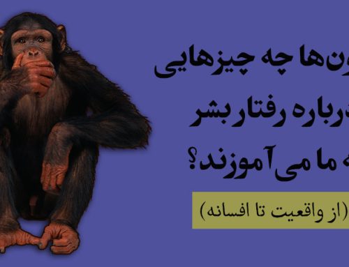 پنج میمون و نردبان: میمون‌ها چه چیزهایی درباره رفتار بشر به ما می‌آموزند؟ از واقعیت تا افسانه